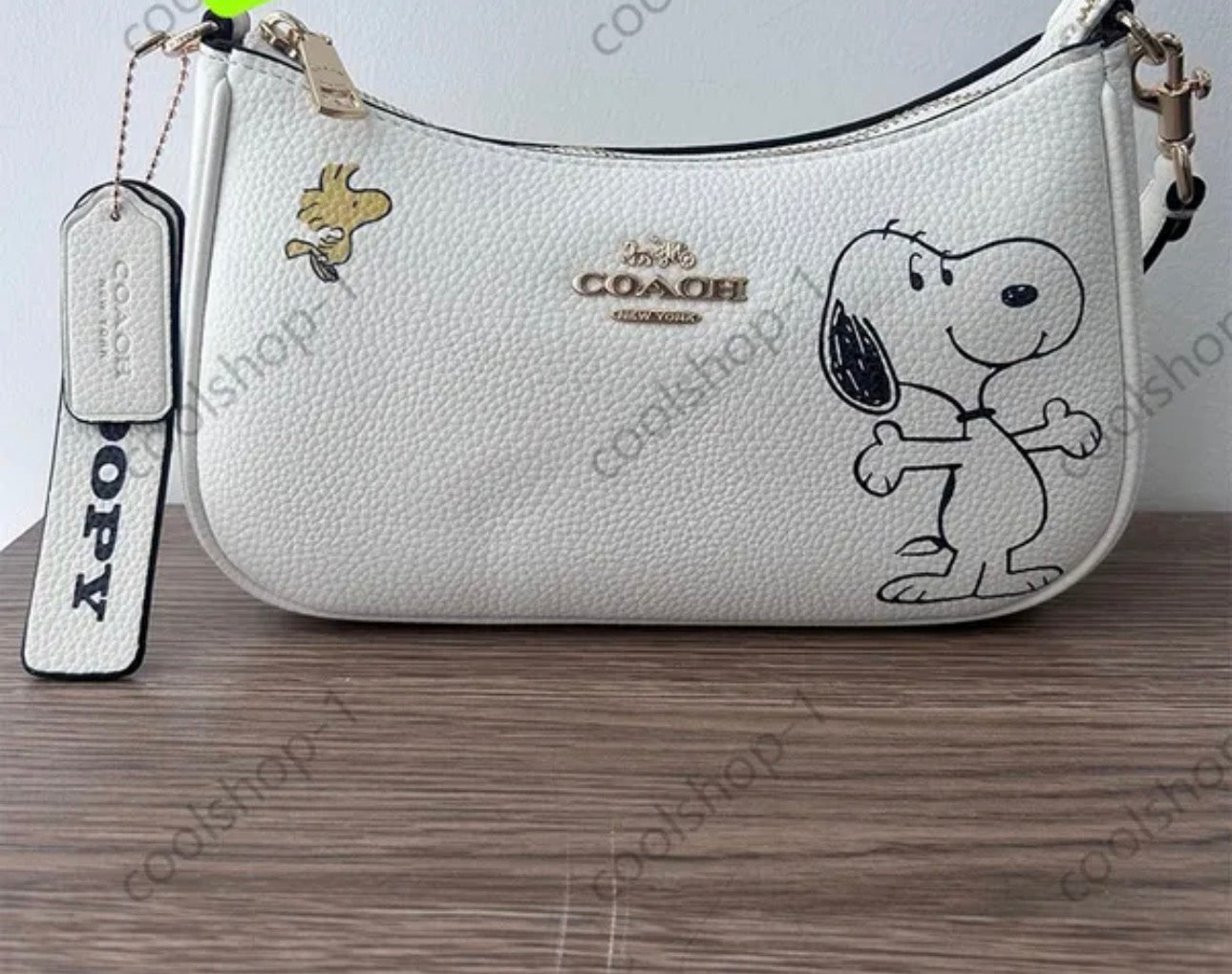 Coach Bags