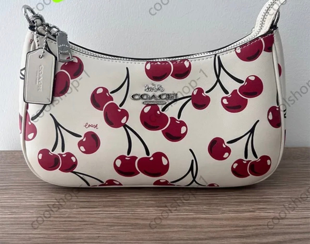 Coach Bags