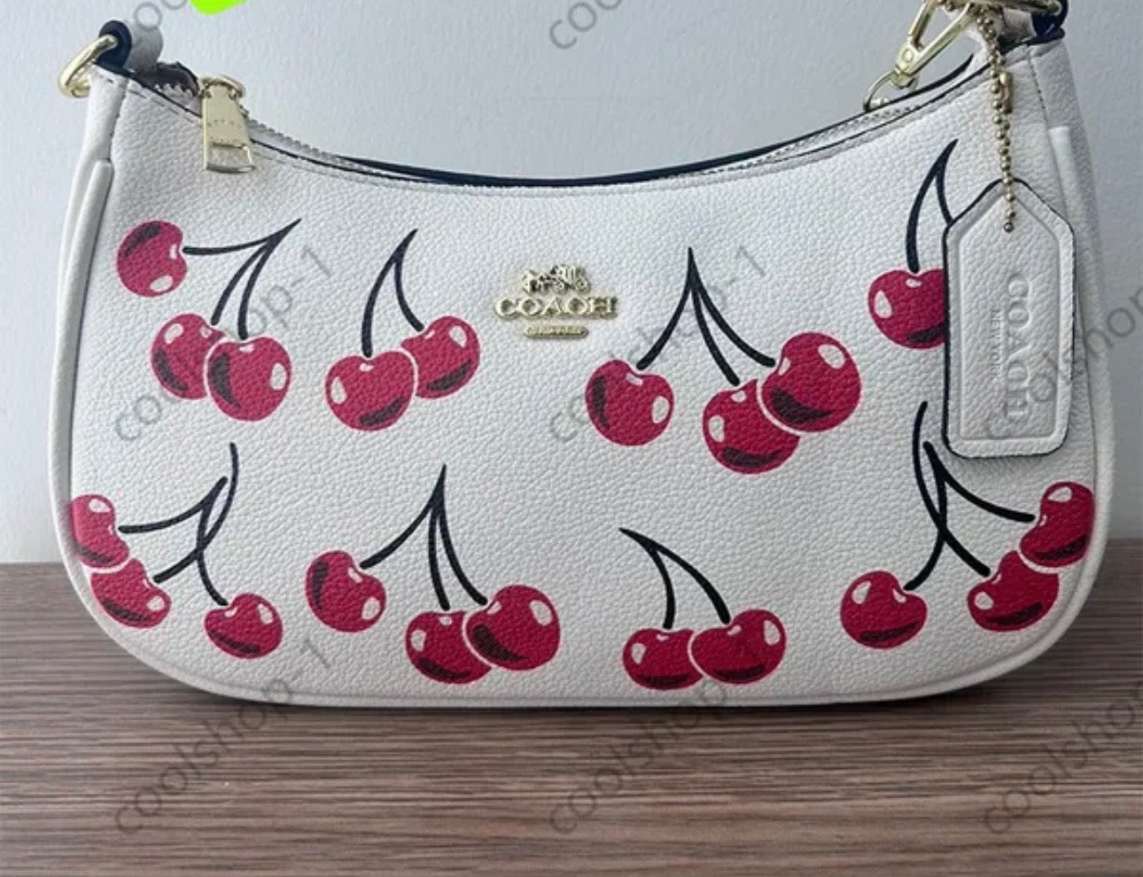Coach Bags
