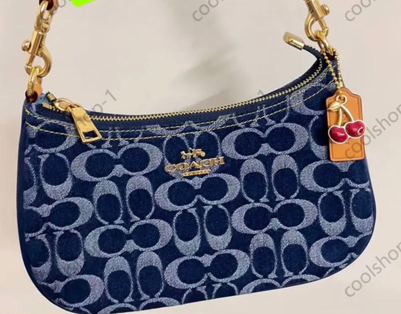 Coach Bags