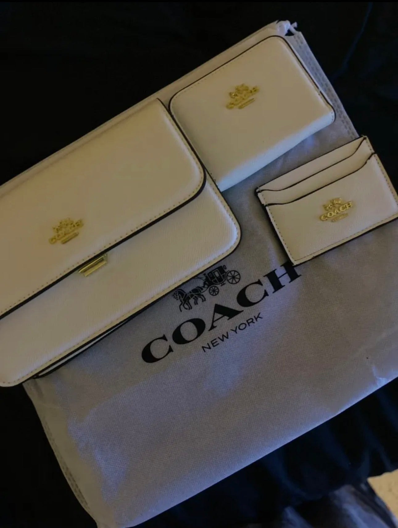 Coach Bag Sets