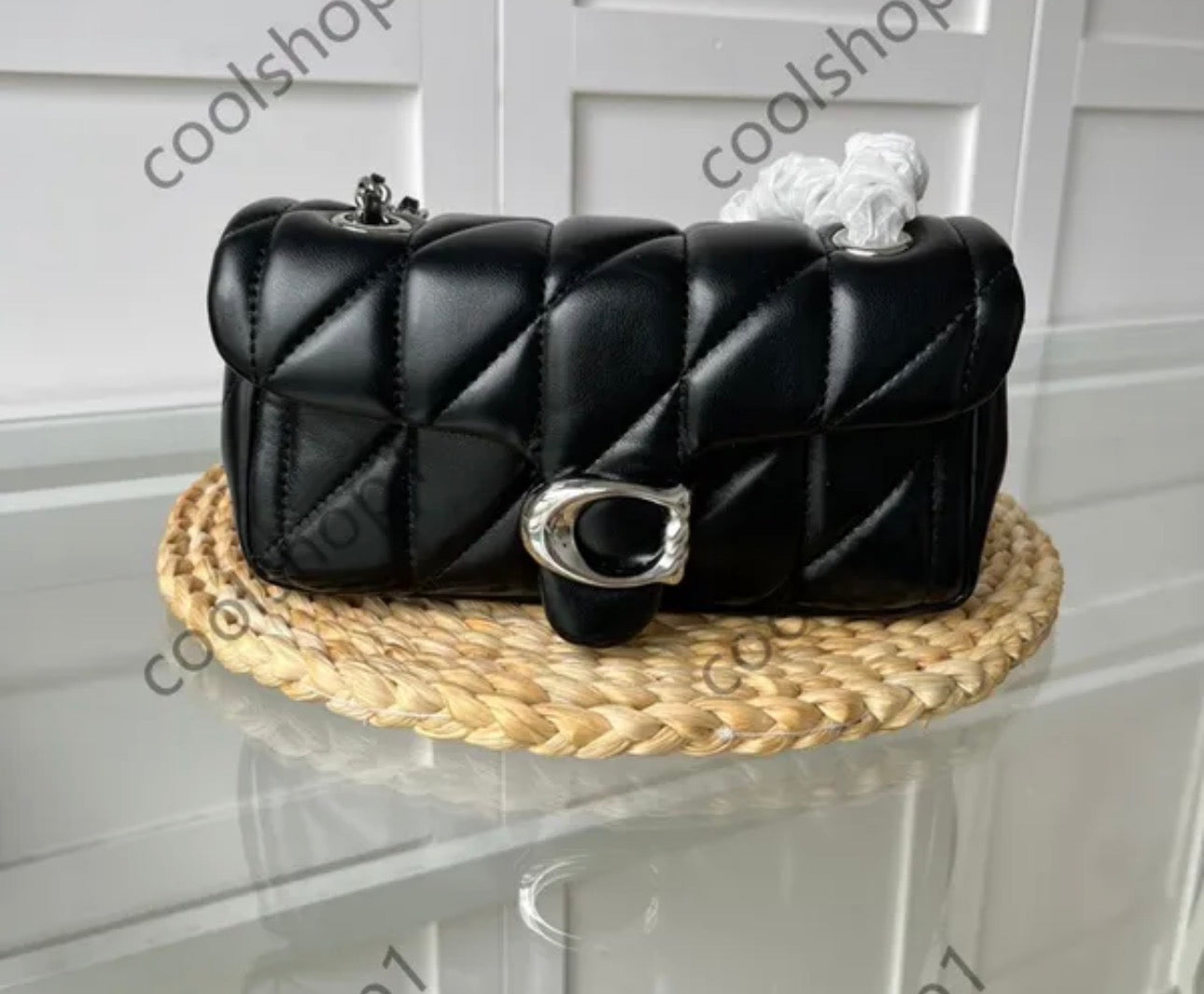 Coach Bags