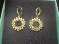 Crown Frame Earrings