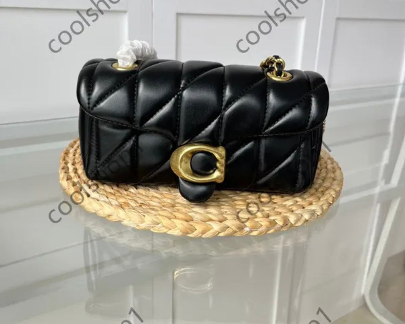 Coach Bags